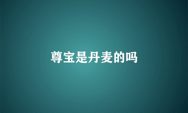 尊宝是丹麦的吗