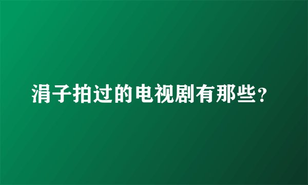 涓子拍过的电视剧有那些？