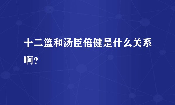 十二篮和汤臣倍健是什么关系啊？