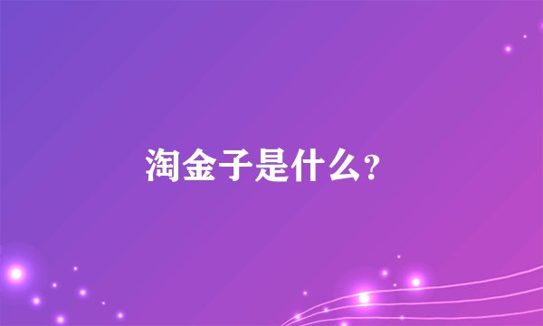 淘金子是什么？