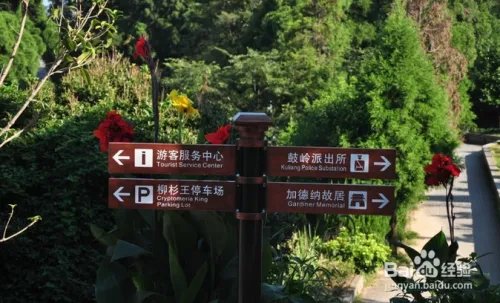 福州鼓岭景点游玩攻略