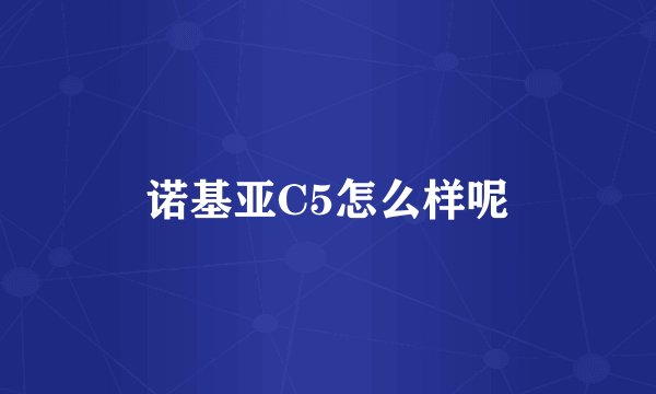 诺基亚C5怎么样呢