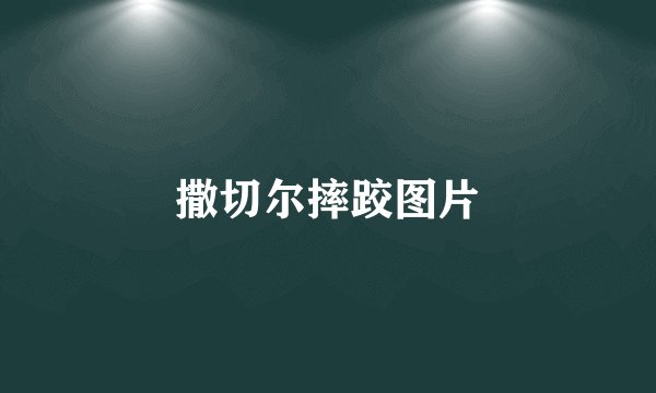 撒切尔摔跤图片
