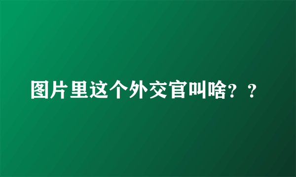 图片里这个外交官叫啥？？