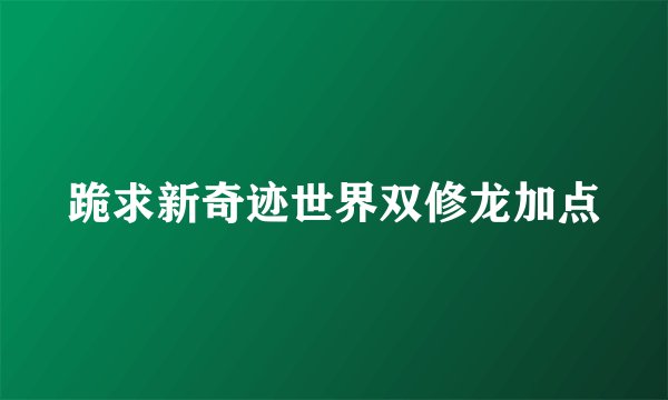 跪求新奇迹世界双修龙加点