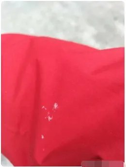 上海预报的大雪下了吗?