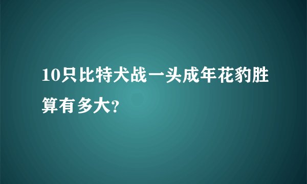 10只比特犬战一头成年花豹胜算有多大?