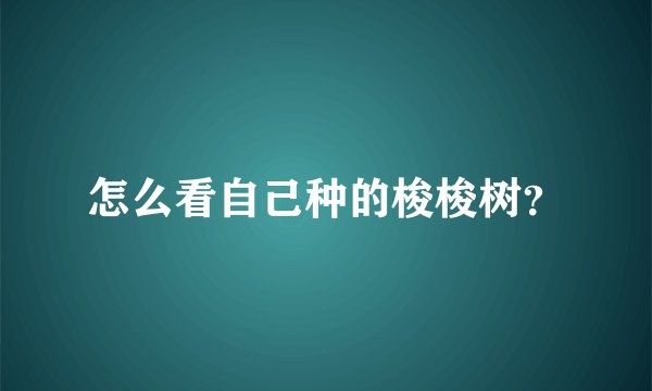 怎么看自己种的梭梭树?