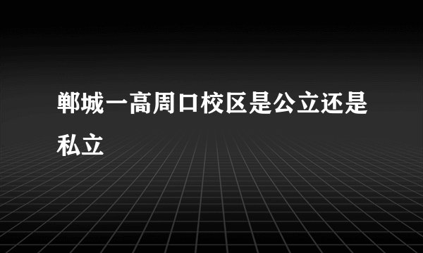 郸城一高周口校区是公立还是私立