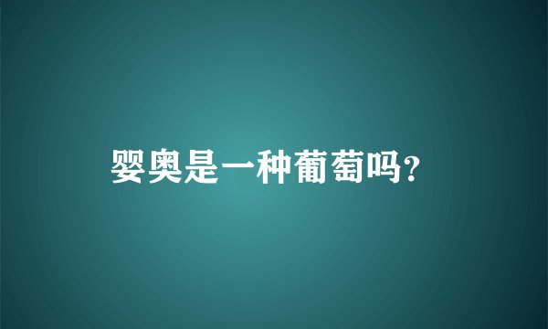 婴奥是一种葡萄吗？