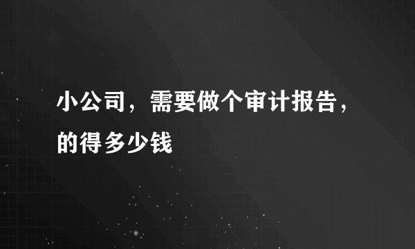 小公司，需要做个审计报告，的得多少钱