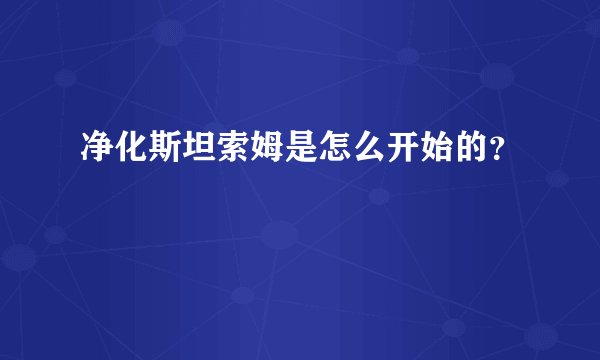 净化斯坦索姆是怎么开始的？
