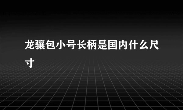 龙骧包小号长柄是国内什么尺寸