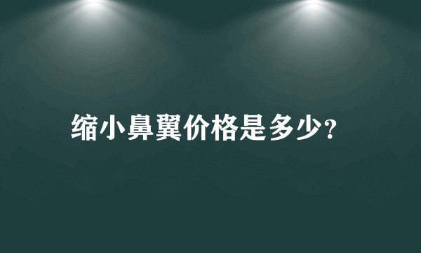 缩小鼻翼价格是多少？