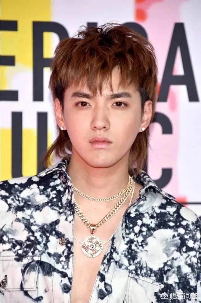 吴亦凡亮相全美音乐奖AMA红毯，挑战鲟鱼发型，外媒镜头下颜值如何？