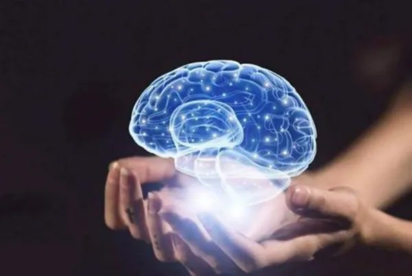 首次证明人脑细胞在体外也有智力:可在培养皿中打游戏,这意味着啥?