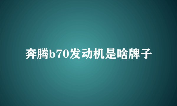 奔腾b70发动机是啥牌子