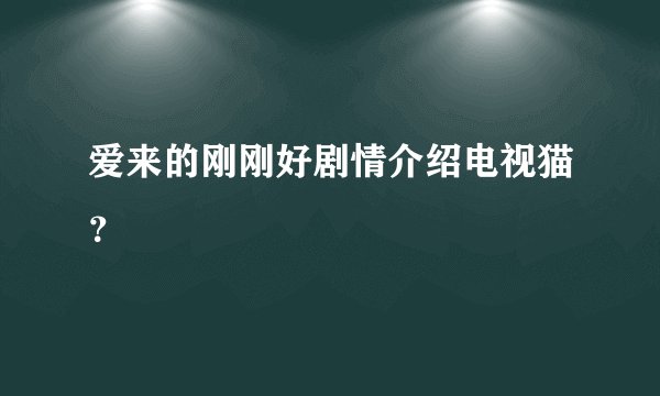 爱来的刚刚好剧情介绍电视猫？