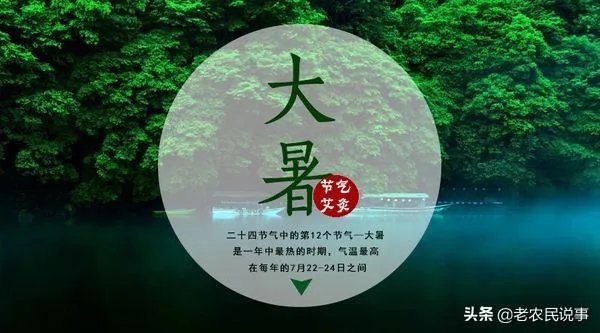 农村老话“大暑凉飕飕,立冬笑死牛”是啥意思?有道理吗?