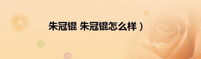 朱冠锟 朱冠锟怎么样）
