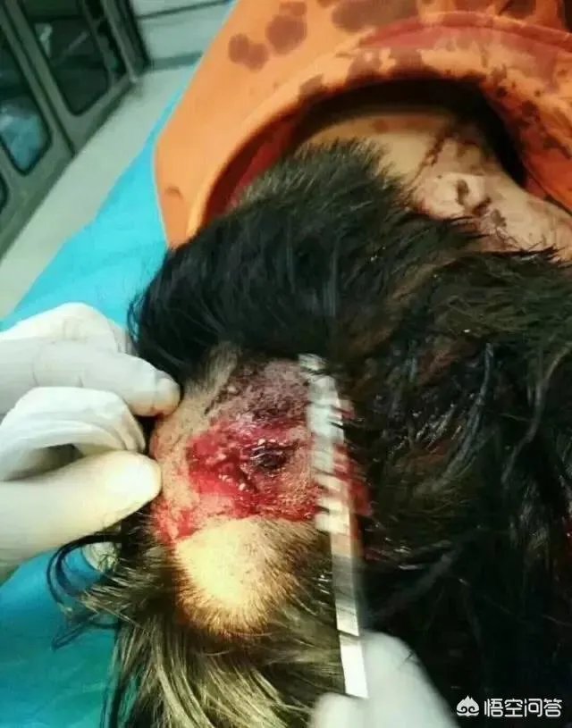 潍坊快递员被打入院,对于此事你怎么看?
