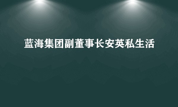 蓝海集团副董事长安英私生活