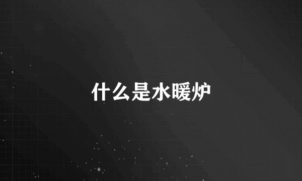 什么是水暖炉