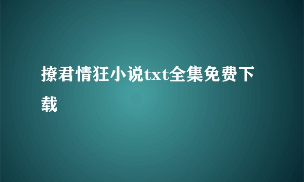 撩君情狂小说txt全集免费下载