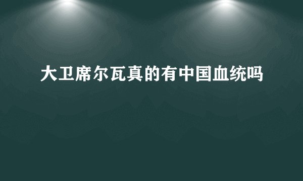大卫席尔瓦真的有中国血统吗
