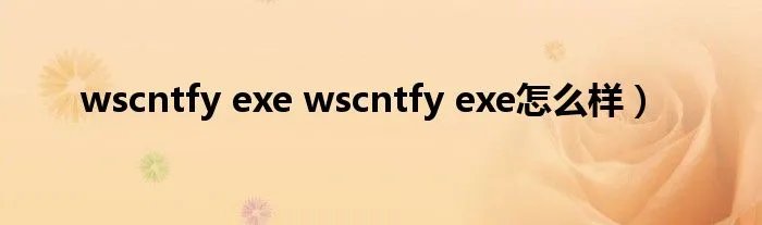 wscntfy exe wscntfy exe怎么样）