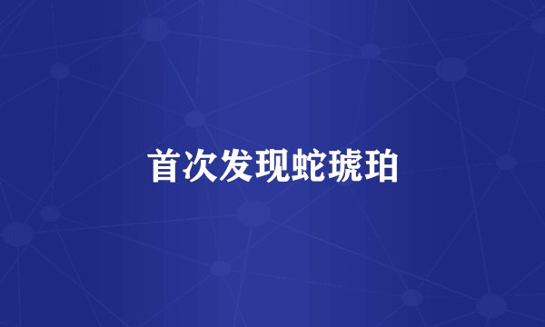 首次发现蛇琥珀