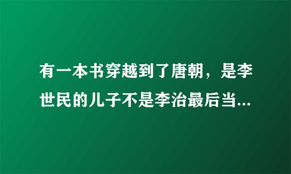 有一本书穿越到了唐朝，是李世民的儿子不是李治最后当皇上了？