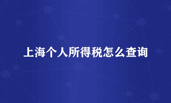 上海个人所得税怎么查询
