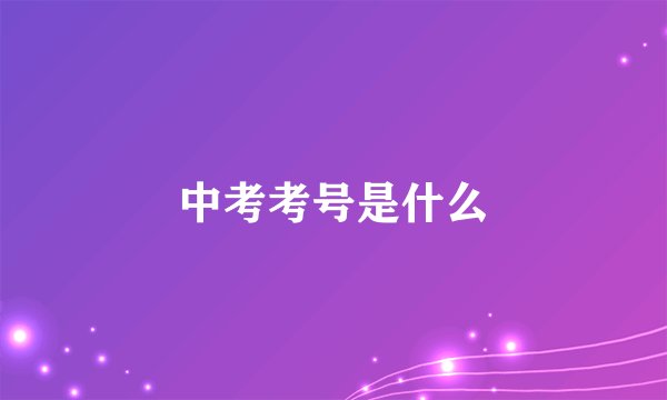 中考考号是什么