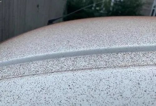 瑞士小镇下起巧克力雨是什么原因?