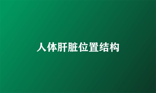 人体肝脏位置结构