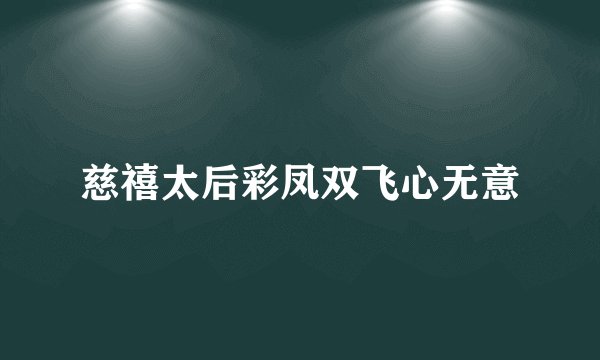 慈禧太后彩凤双飞心无意