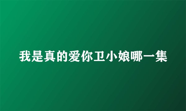 我是真的爱你卫小娘哪一集