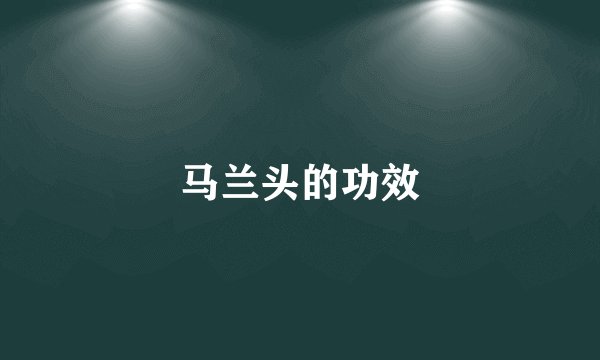 马兰头的功效