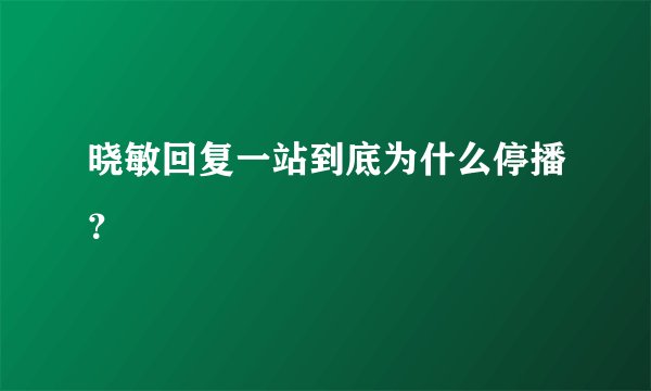 晓敏回复一站到底为什么停播？