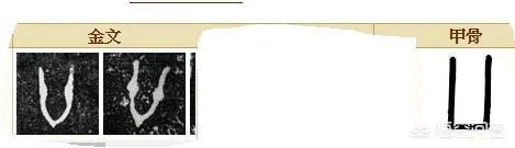 汉字“廿”表示什么?