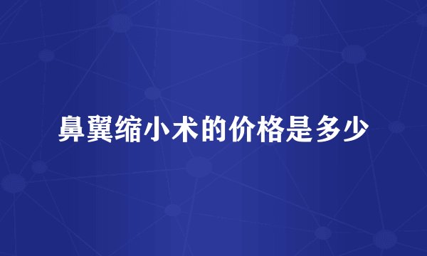 鼻翼缩小术的价格是多少