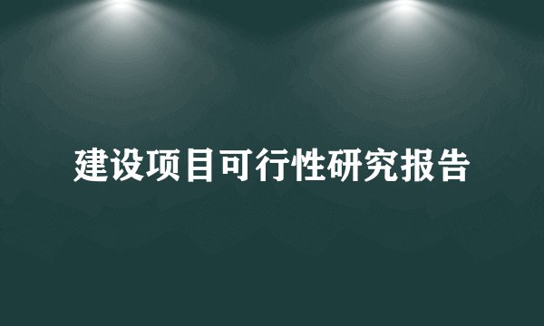 建设项目可行性研究报告