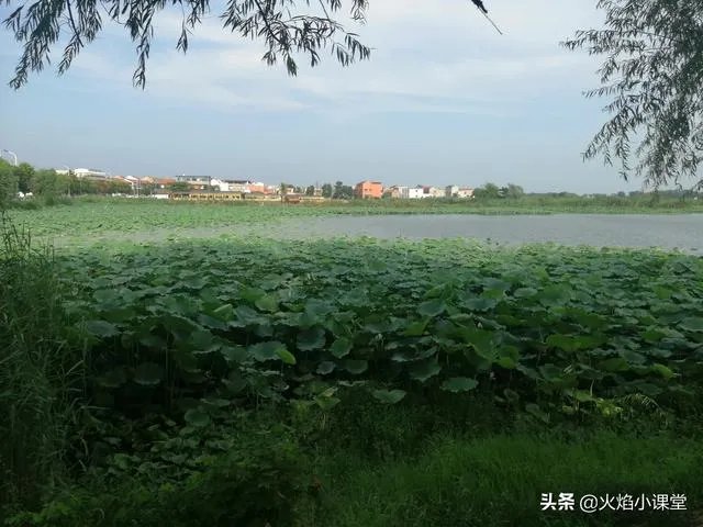 八段锦是否可以自学?