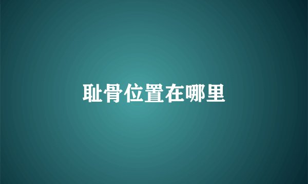 耻骨位置在哪里