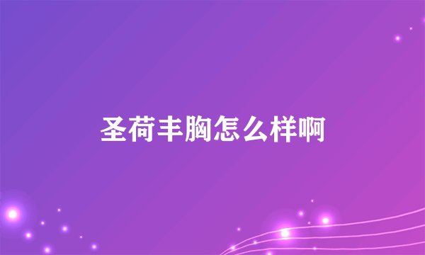 圣荷丰胸怎么样啊