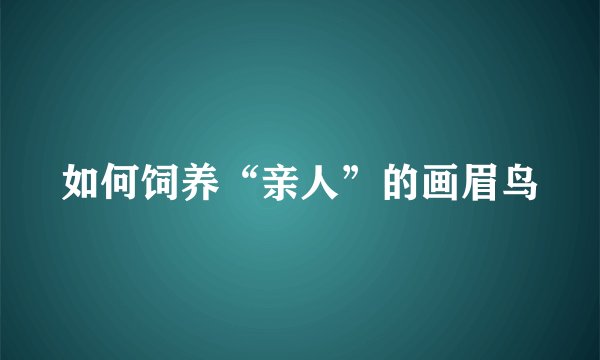 如何饲养“亲人”的画眉鸟