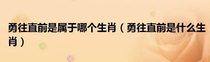 勇往直前是属于哪个生肖（勇往直前是什么生肖）