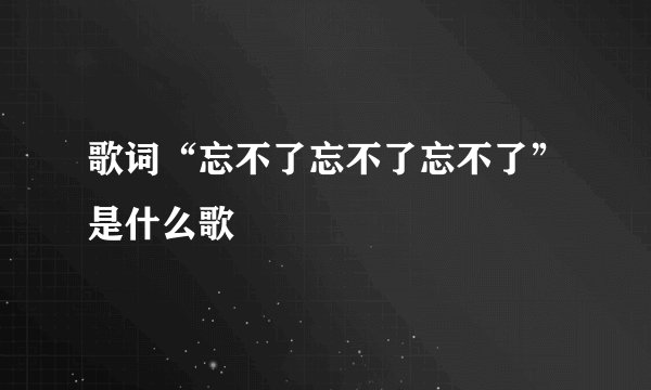 歌词“忘不了忘不了忘不了”是什么歌