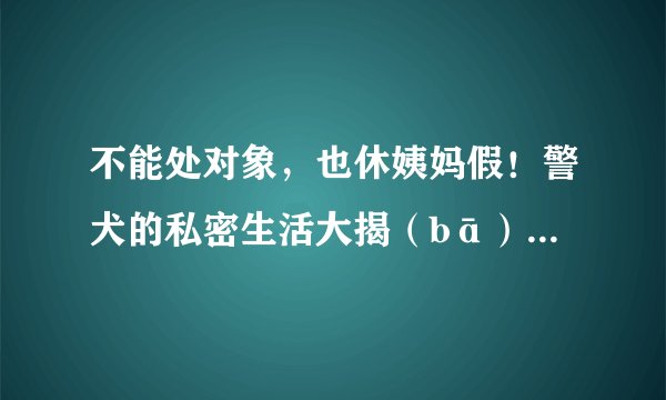 不能处对象，也休姨妈假！警犬的私密生活大揭（bā）秘（guà）！